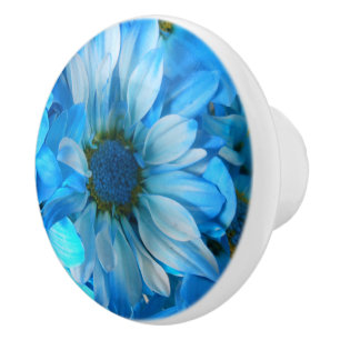 Collaert Ceramic Knob