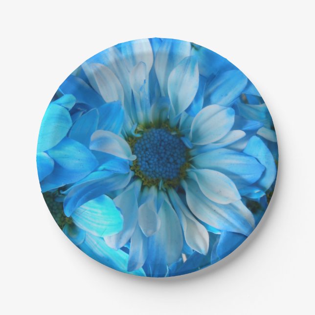 Collaert Paper Plate (Front)