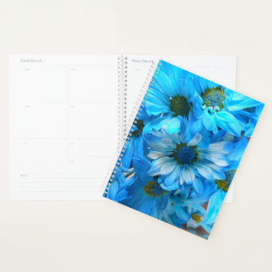 Collaert Planner