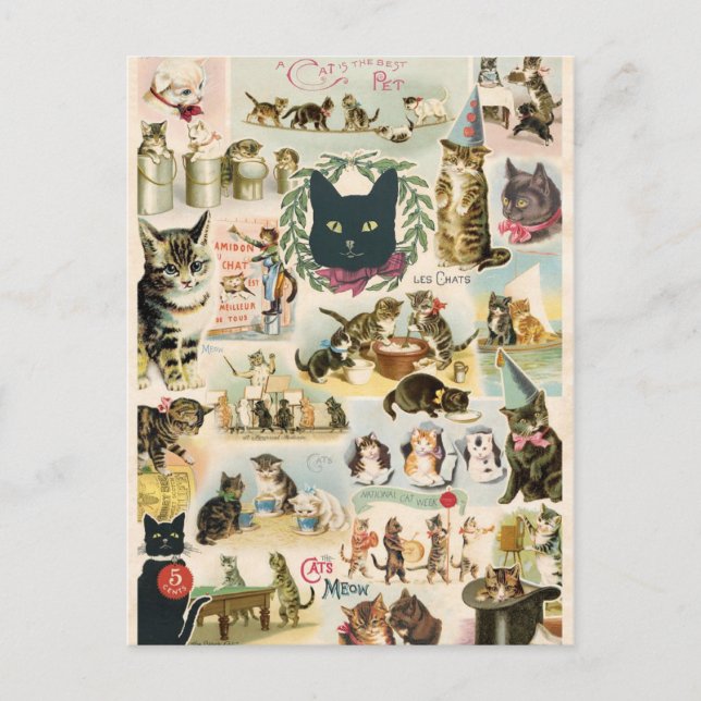 Collage chats postcard (Front)