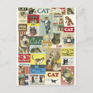 Collage chats vintage postcard