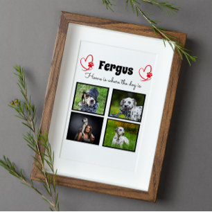  Collage - dog photo customised memory Plaque