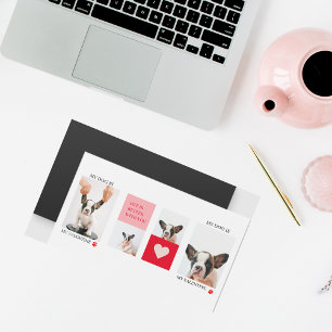 Collage Dog Photos My Dog Is My Valentine