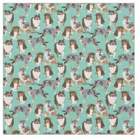 Collage of Aussies Australian Shepherd Dogs