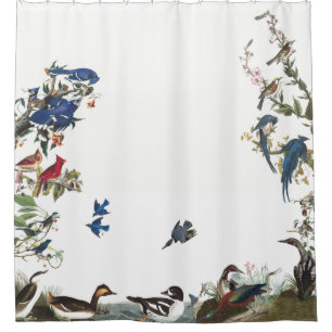 Collage of Birds Audubon Wildlife Shower Curtain