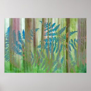 Collage of Bracken Ferns and Forest   Seabeck, WA Poster