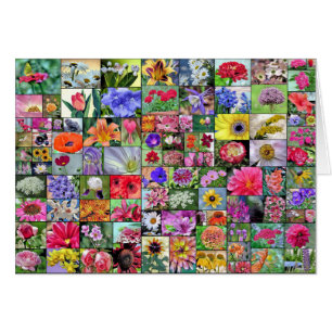 Collage of flowers card