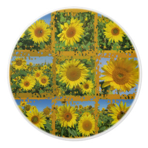 Collage of yellow sunflowers in summer, ceramic knob