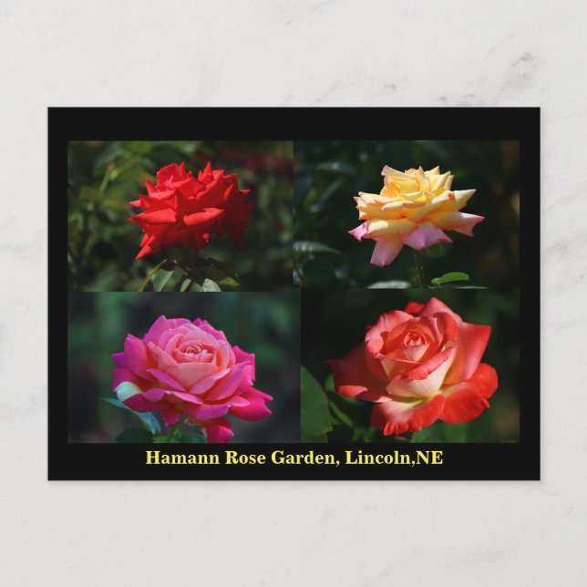 Collage postcard of the HRG 2014 900 (Front)