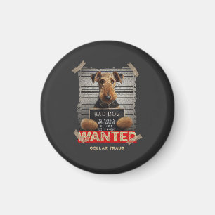 Collar Fraudster Magnet
