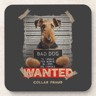 Collar Fraudster: The Airedale Terrier Coaster