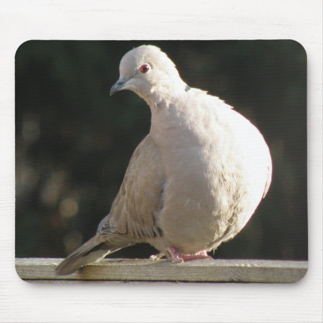 Collared Dove Mousepad (Front)