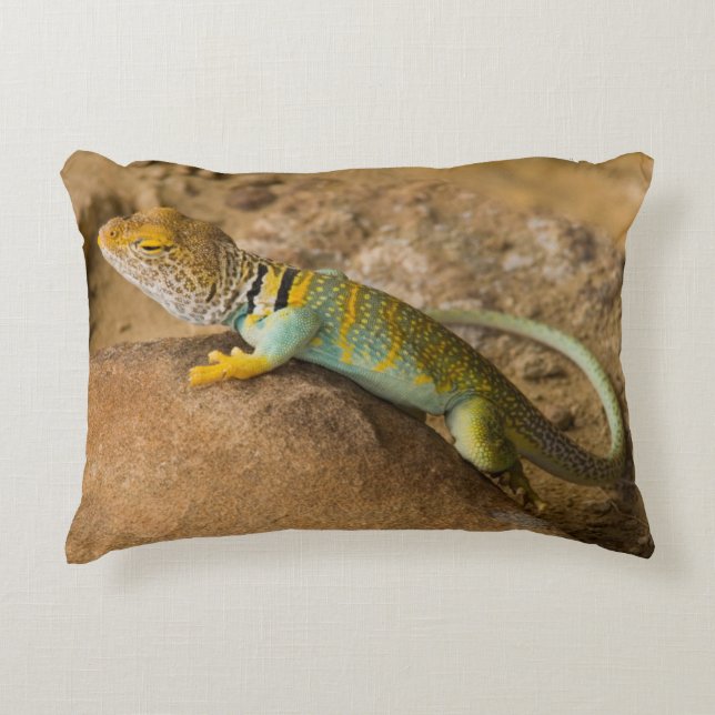 Collared Lizard Decorative Cushion (Front)
