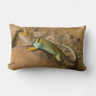 Collared Lizard Lumbar Cushion
