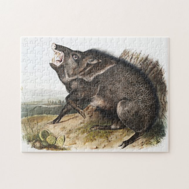 Collared Peccary Dycoteles torquatus Illustration Jigsaw Puzzle (Horizontal)