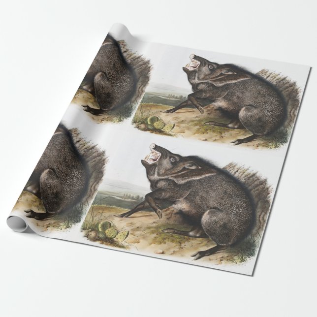 Collared Peccary Dycoteles torquatus Illustration Wrapping Paper (Unrolled)