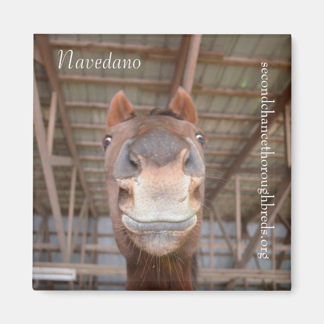 Collectable Magnet Series - Navedano (Front)