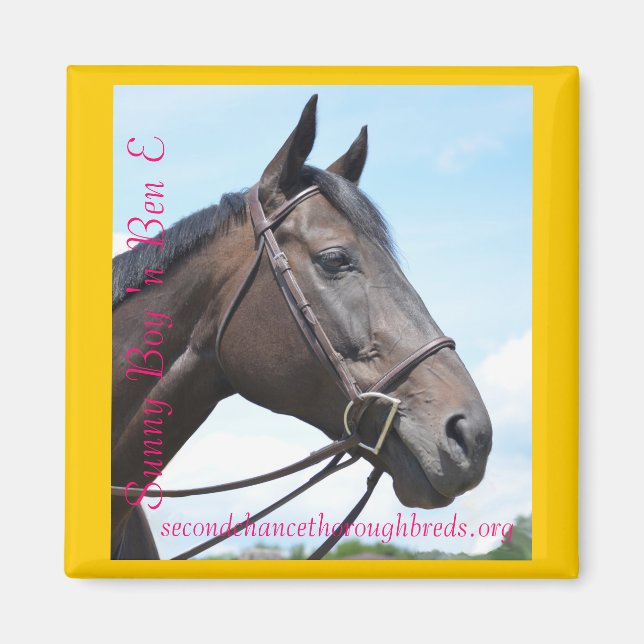 Collectable Magnet Series - Sunny Boy 'n Ben E (Front)