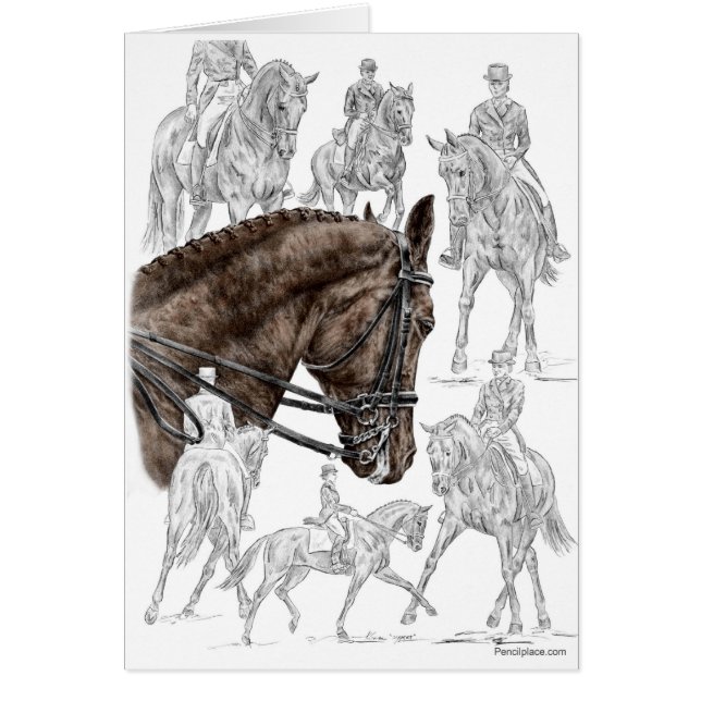 Collected Dressage Horses FEI (Front)