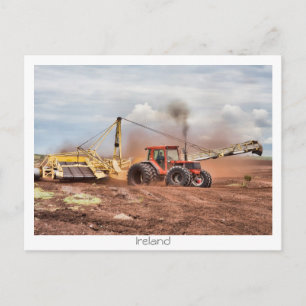 Collecting Bog Postcard