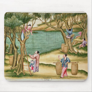 Collecting mulberries mouse pad
