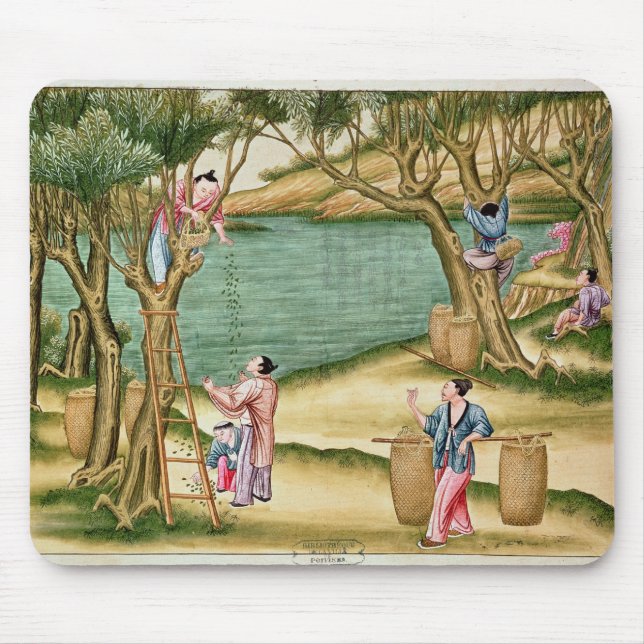 Collecting mulberries mouse pad (Front)
