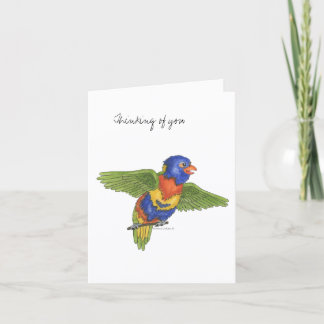 Collection Budgie  Note Card