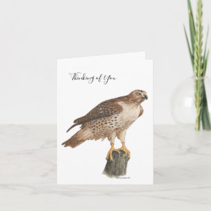 Collection Hawk Note Card
