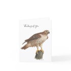 Collection Hawk Note Card