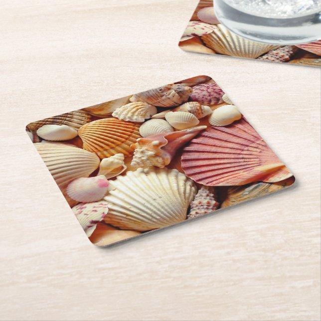 Collection of Seashells Scallops Clams and Conch Square Paper Coaster (Angled)