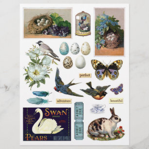 Collection of Vintage Ephemera: Birds and a Bunny