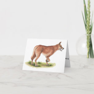 Collection Red Fox Blank Note Card