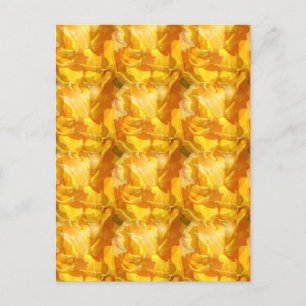collective bloom holiday postcard