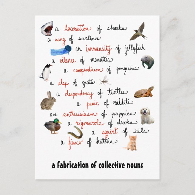 Collective Nouns: postcards (Front)
