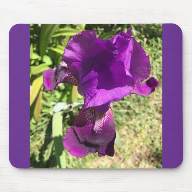 Collector Purple Iris Mouse Pad (Front)