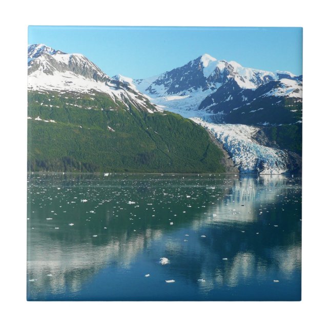 College Fjord I Beautiful Alaska Photography Tile (Front)