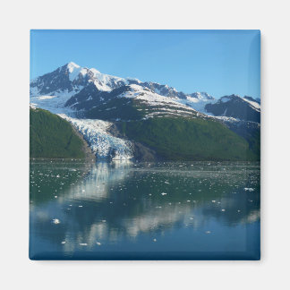 College Fjord II Beautiful Alaska Photography Magnet