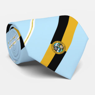 College Park (Maryland) city flag Neck Tie