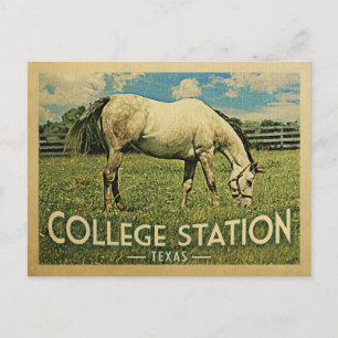 College Station Texas Horse Farm -Vintage Travel Postcard