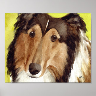 Collie Art Poster