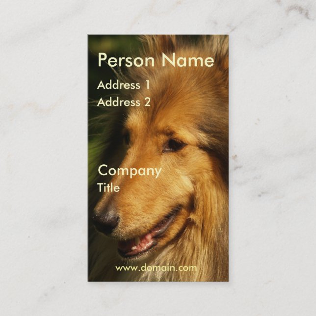 Collie Business Card (Front)
