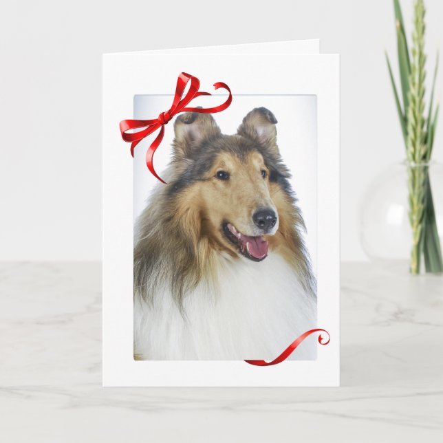 Collie Christmas Cards (Front)