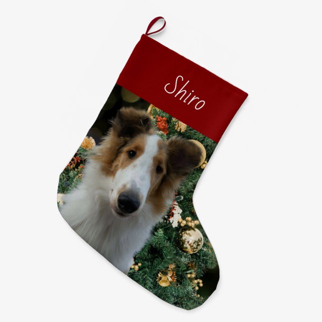 Collie Christmas Stocking (Front (Hanging))