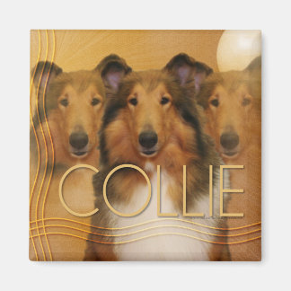Collie Crescent Moon Magnet