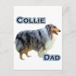 Collie Dad 4 Postcard