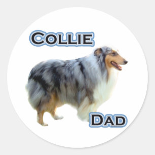 Collie Dad 4 - Sticker