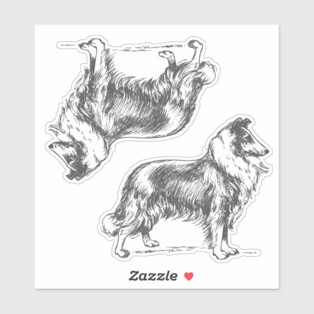 Collie Dog (Sheet)