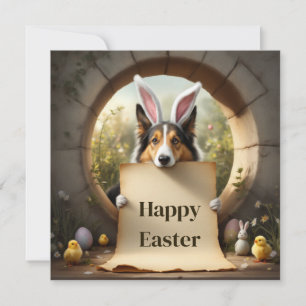Collie dog  and the message holiday card