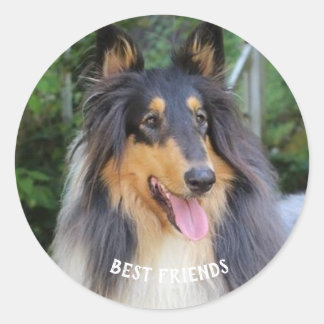 Collie dog Best FRIENDS Classic Round Sticker