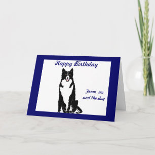 Collie Dog Birthday Card